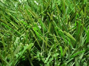 um�l� v�no�n� stromek na v�noce